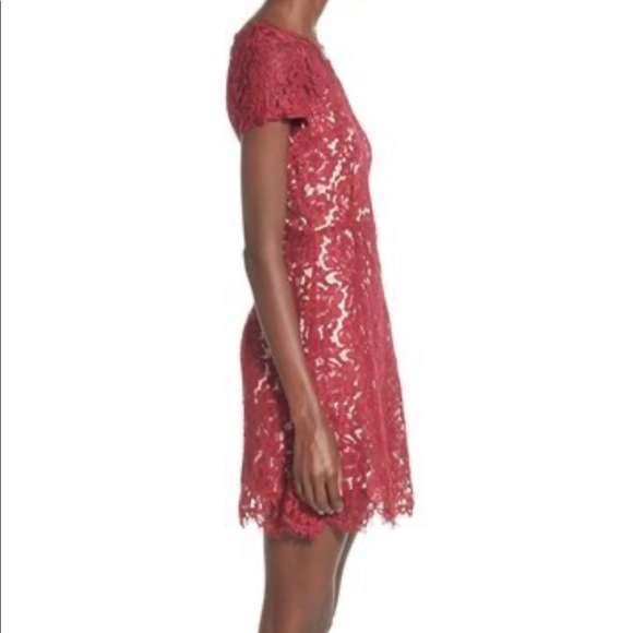 Lucy Paris Red Lace Sheath Dress - Picture 3 of 5